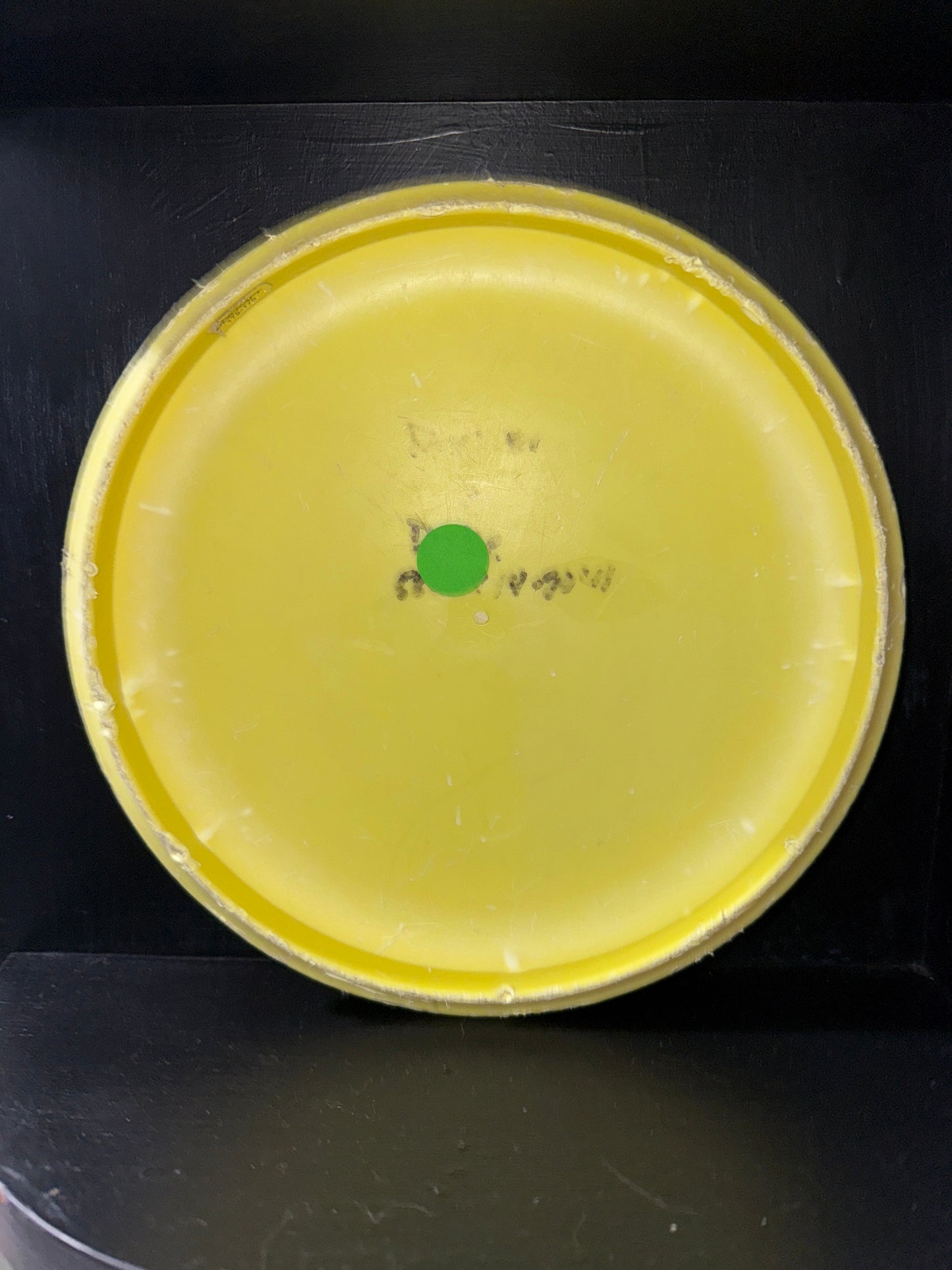 Used Inked & Damaged Discraft Pro-D Magnet 175-176g Putter