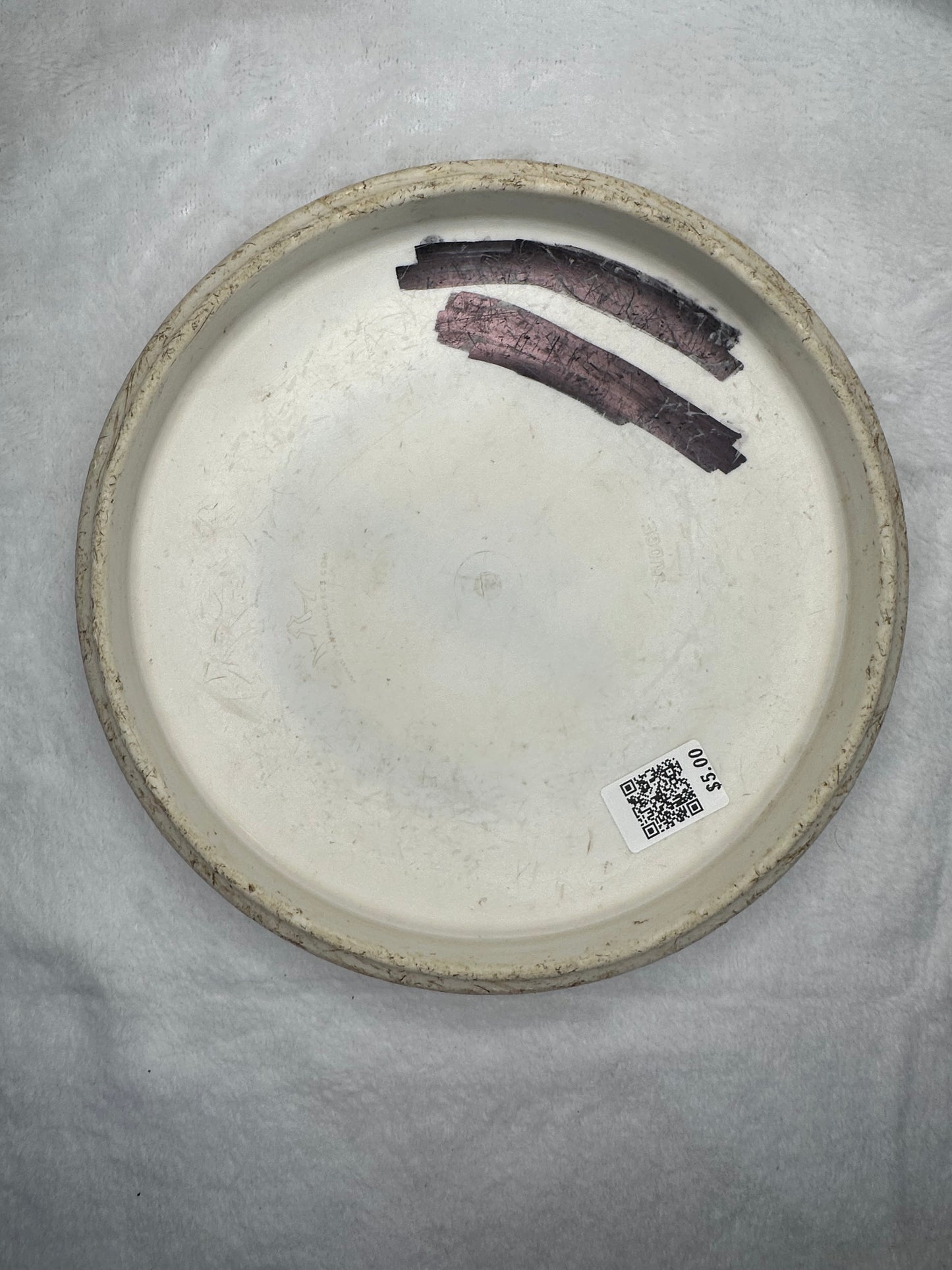 Dynamic Disc Judge