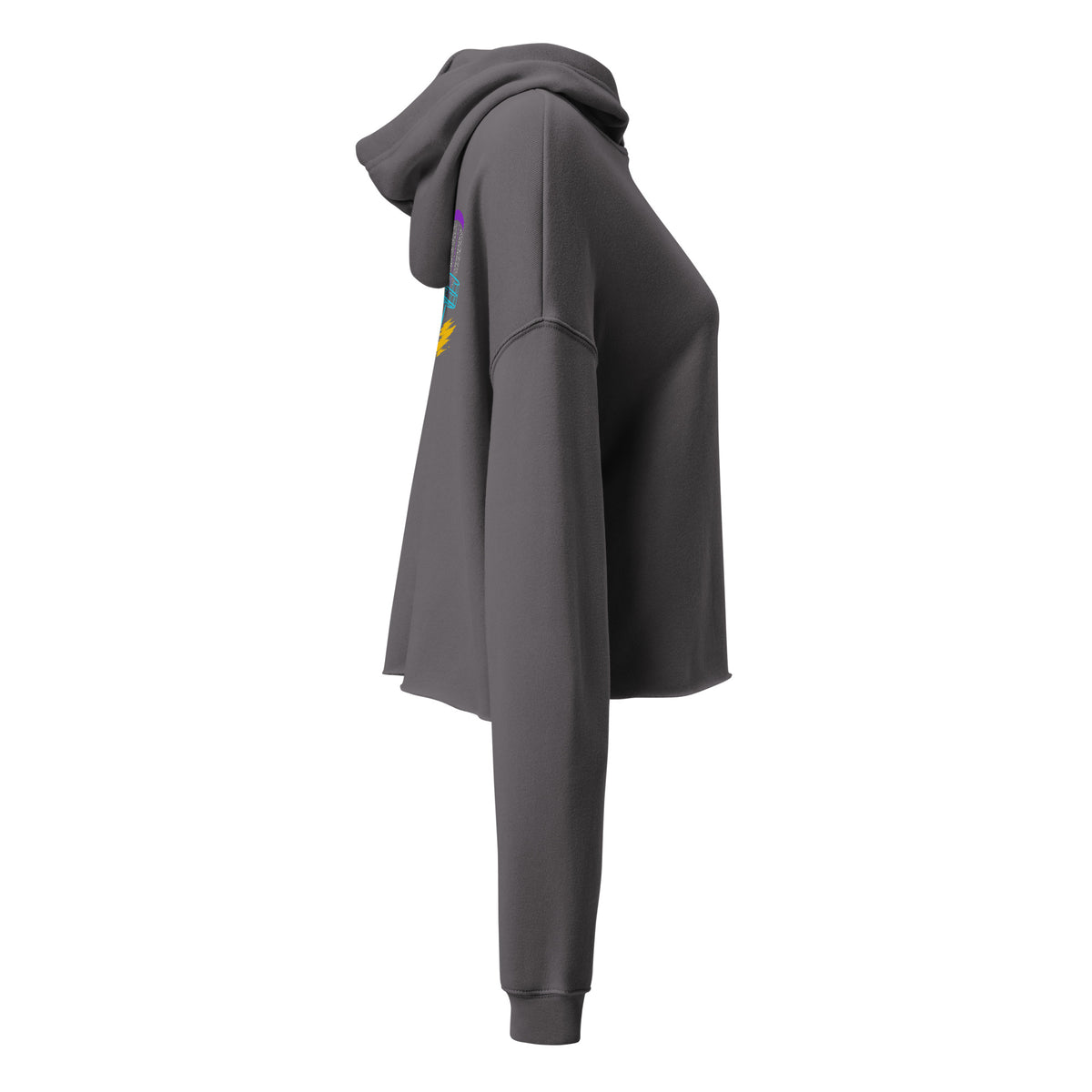 Right side of the Storm gray Retro Runs women's cropped hoodie with the edge of the back logo