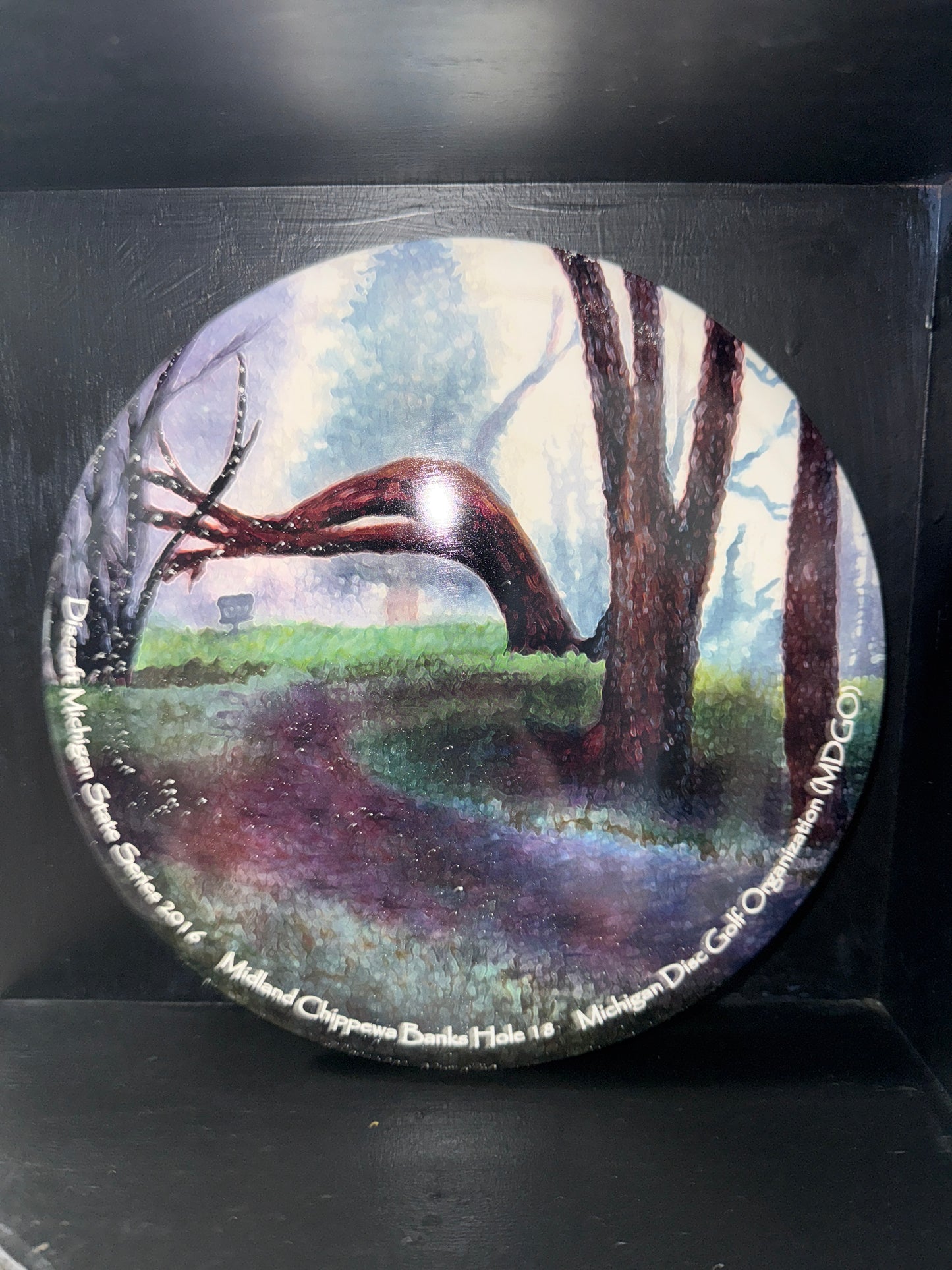 Unthrown Discraft ESP Supercolor Buzzz 177+g
